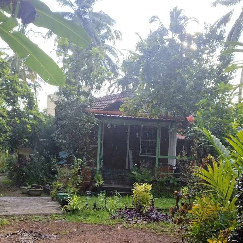 The abode