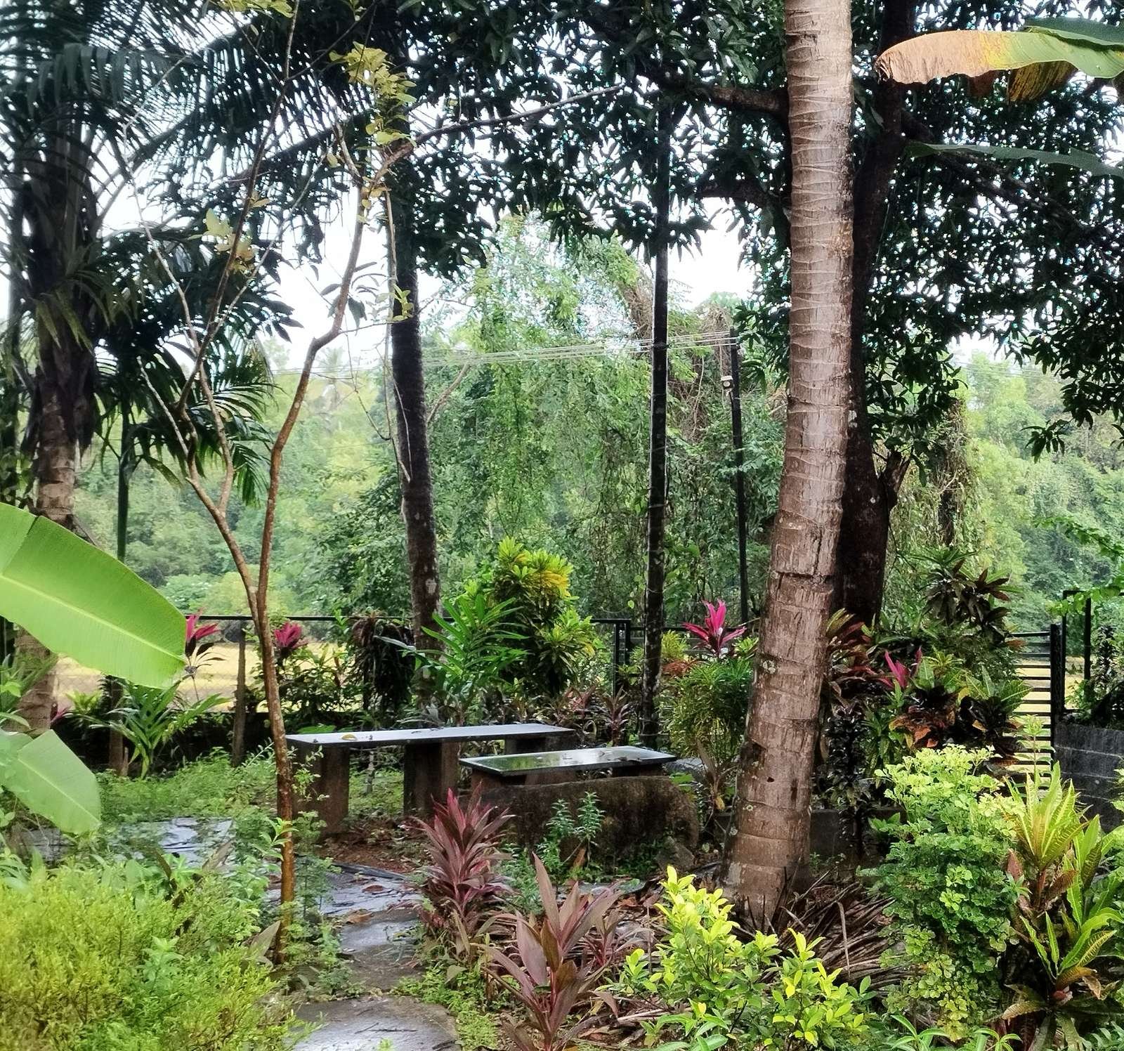 The evening chit-chat spot at Calamara