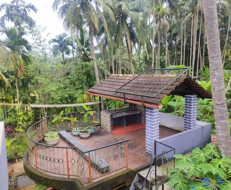 The machaan